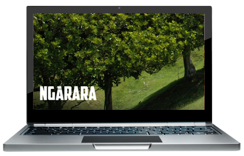 luvly social media management campain facebook